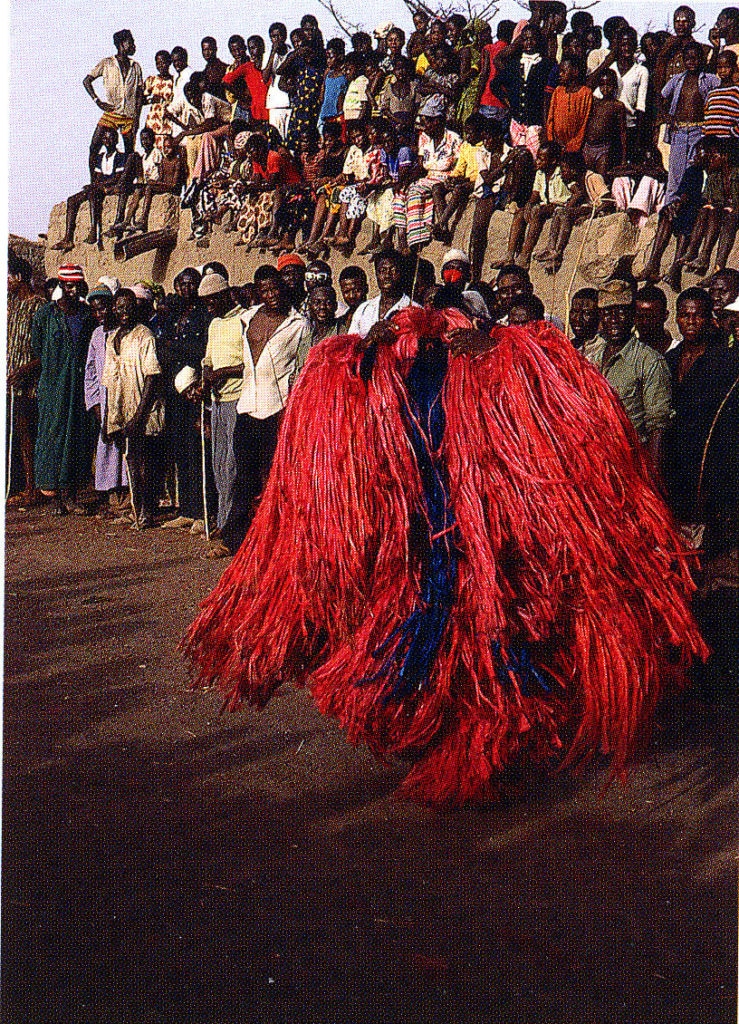 Byetale rouge à plumet (Bobo – Burkina Faso)