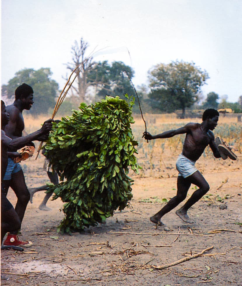 Les sinkye avec leur masque à feuille (Bobo – Burkina Faso)