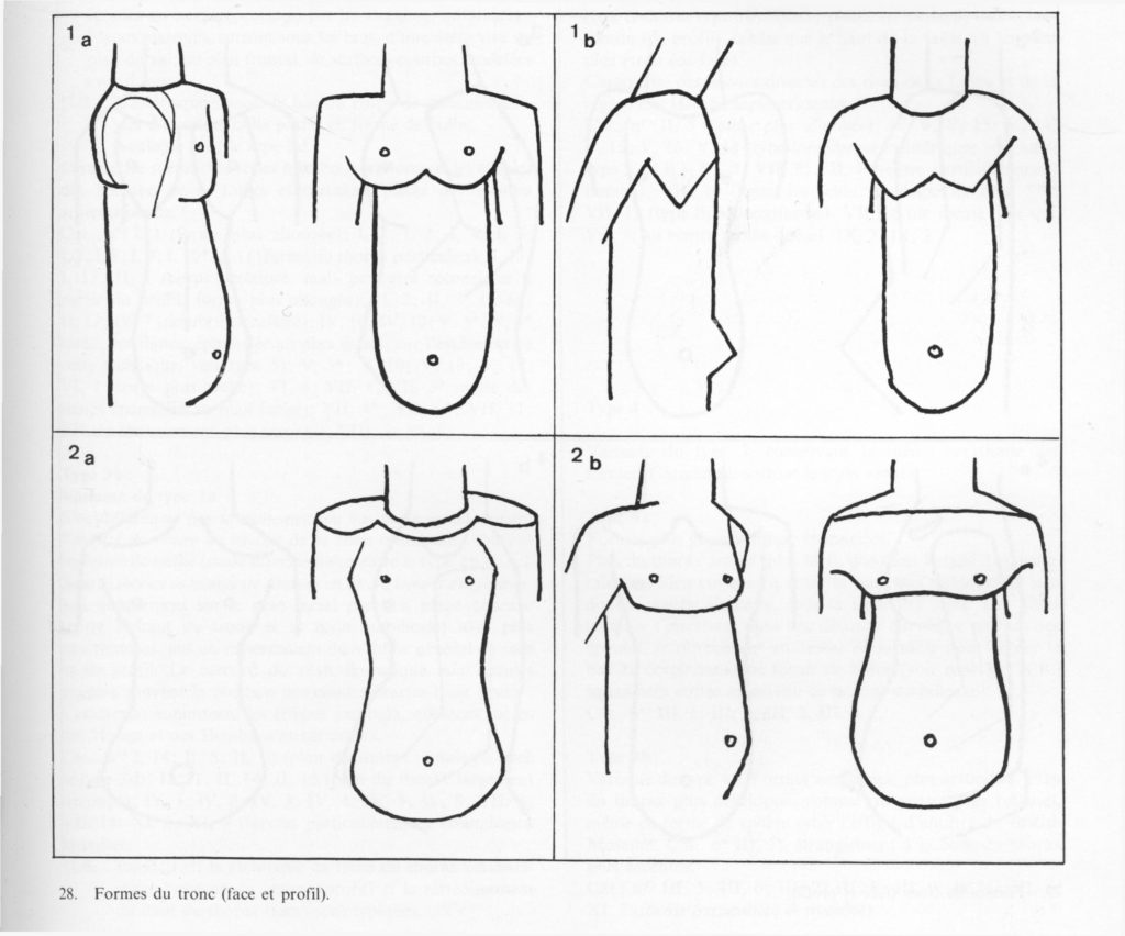 Formes du tronc