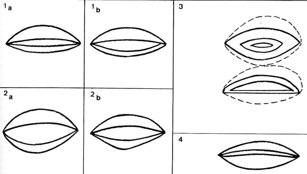 Formes des yeux