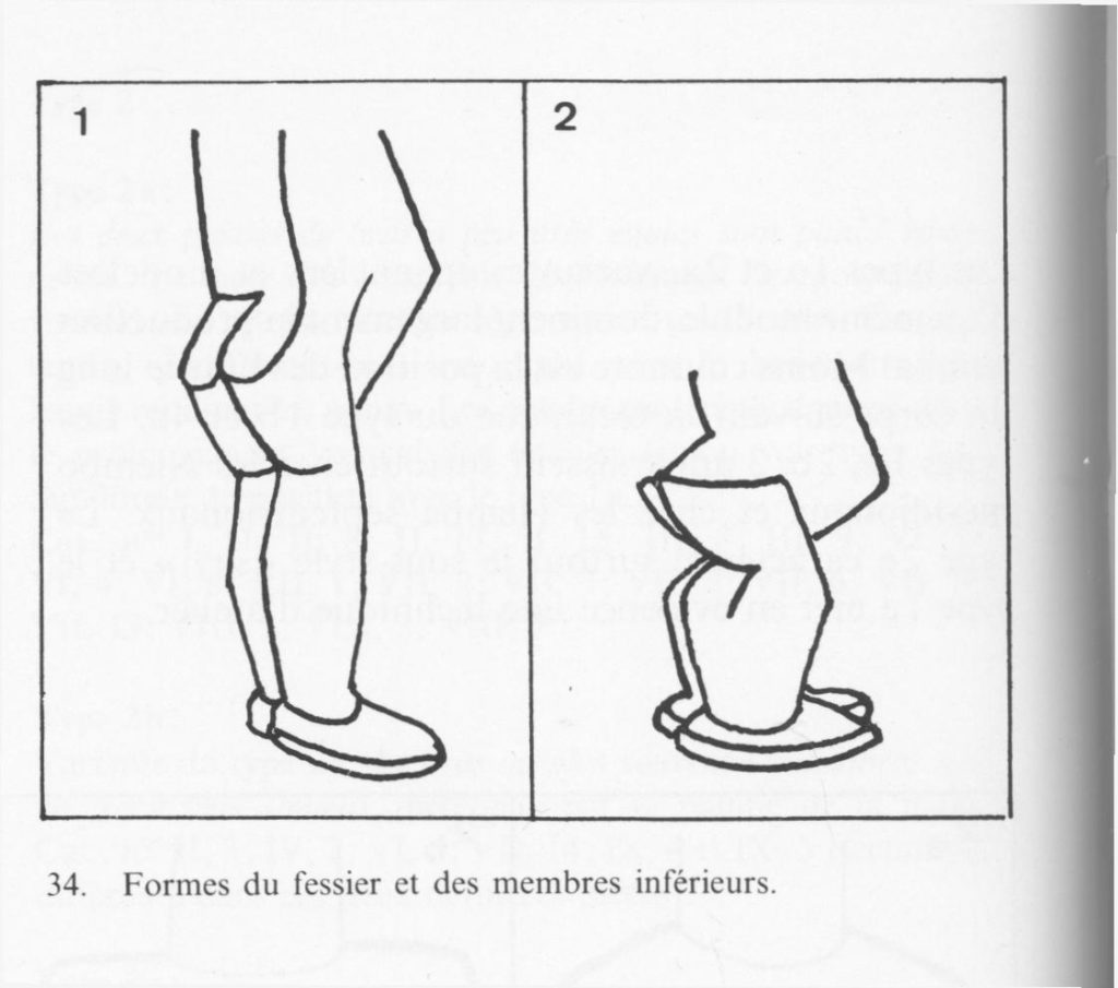 Formes du fessier et des membres inférieurs