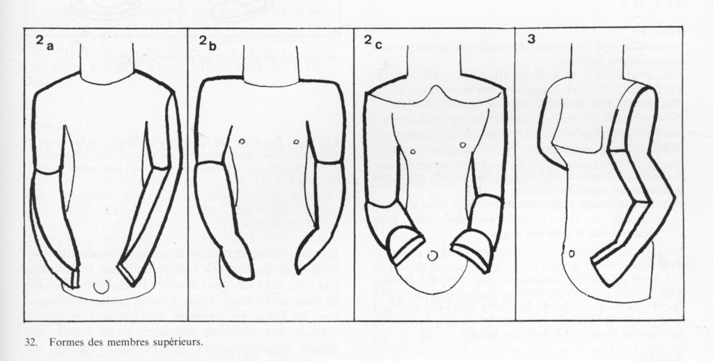 Formes des membres supérieurs