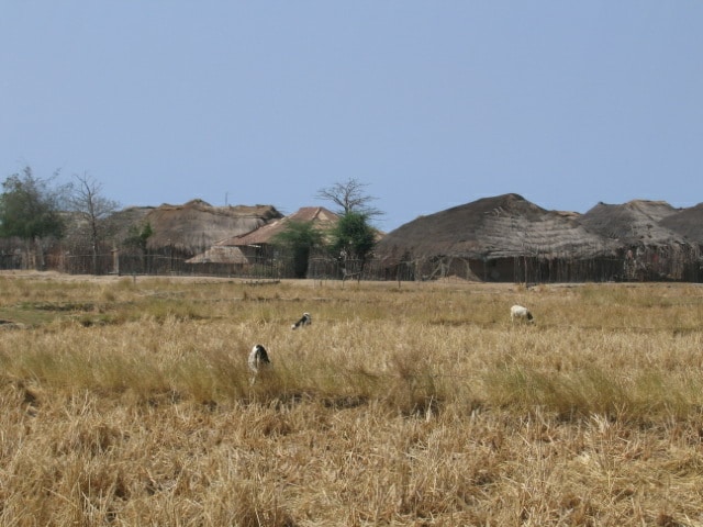 Village de Eloubaline (Diola – Casamance – Sénégal)