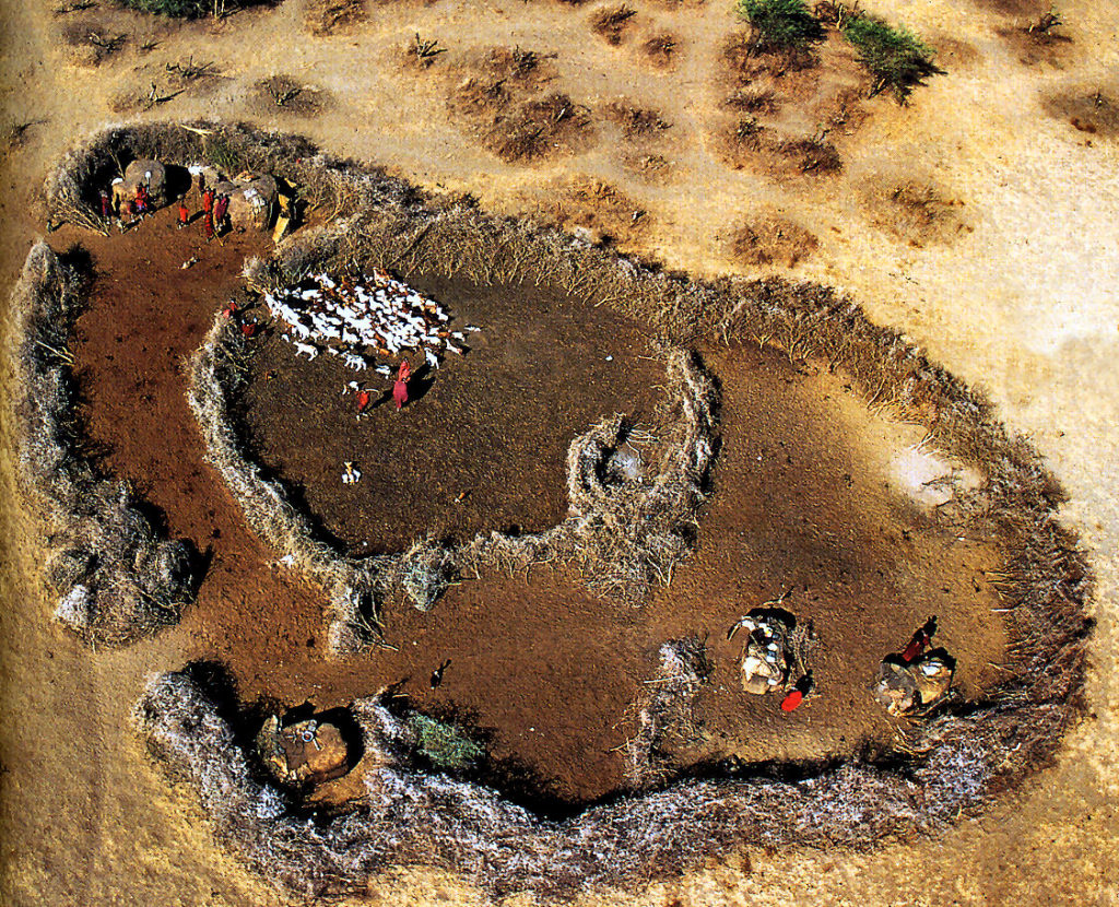 Campement Massaï (Tanzanie)