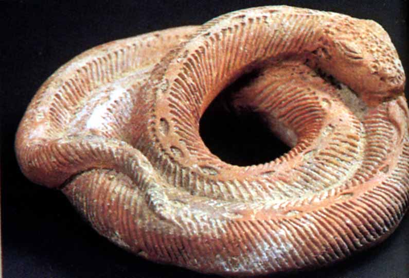 Figure d’un serpent lové XIe-XVIe siècle