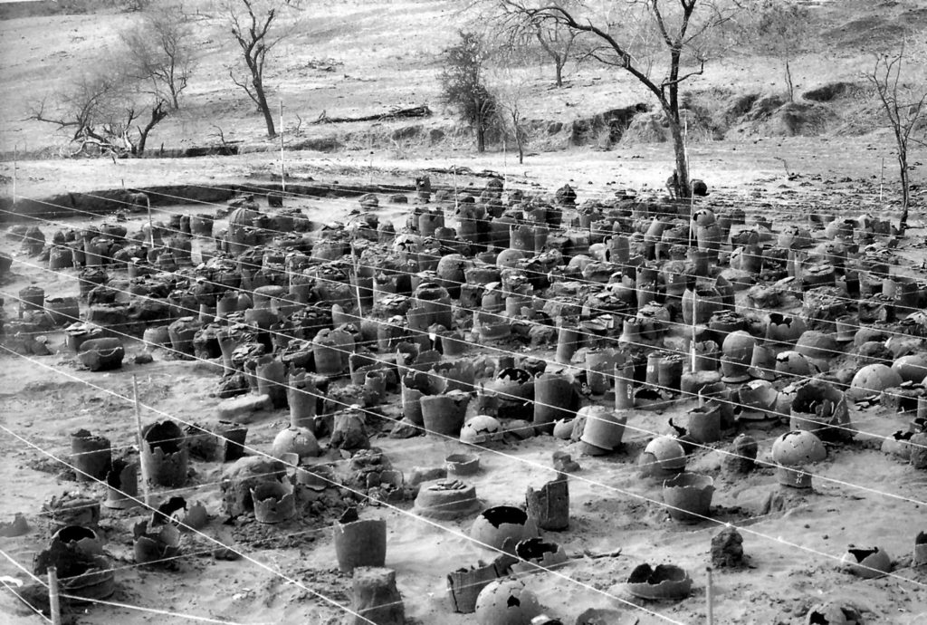 Vue générale des fouilles de Bura