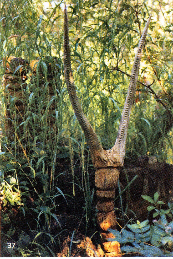 Trophée de chasse